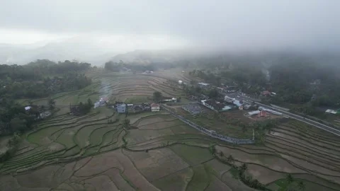 Empty rice fields due to drought in Yogyakarta, Java, Indonesia. 4k Stock Footage 247348939
