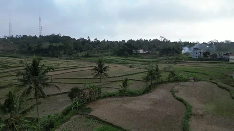 Empty rice fields due to drought in Yogyakarta, Java, Indonesia. 4k Stock Footage 247348961