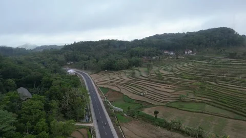 Empty rice fields due to drought in Yogyakarta, Java, Indonesia. 4k Stock Footage 247348990