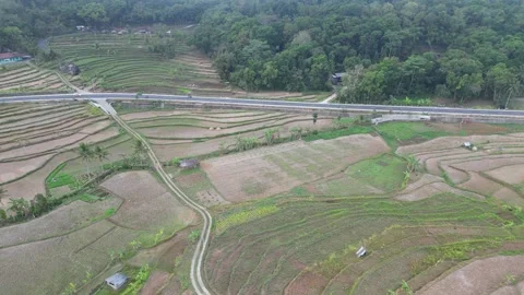 Empty rice fields due to drought in Yogyakarta, Java, Indonesia. 4k Stock Footage 247348992