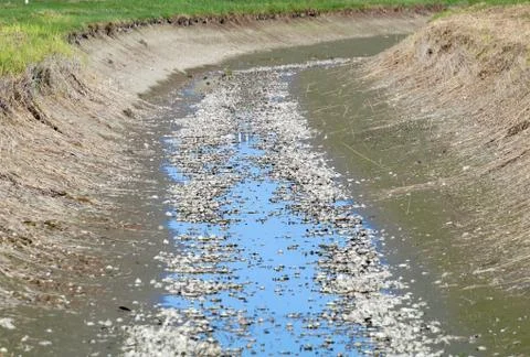Empty riverbed irrigation ditch without water Stock Photos