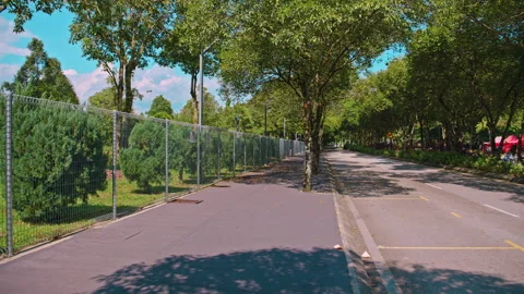 An empty road adorned with trees Stock Footage 230922256