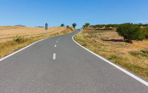 Empty road among the cereal fields. Stock Photos