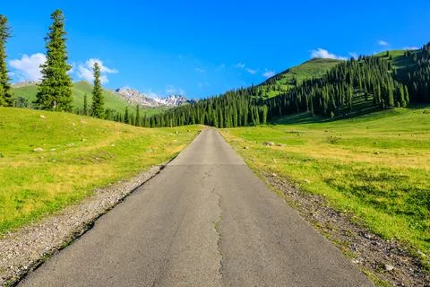 Empty road and beautiful mountain with green grass in Nalati grassland. Stock Photos