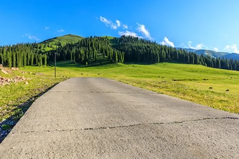 Empty road and beautiful mountain with green grass in Nalati grassland. Stock Photos