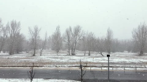 Empty road and forest with snowfall Stock Footage 146648430