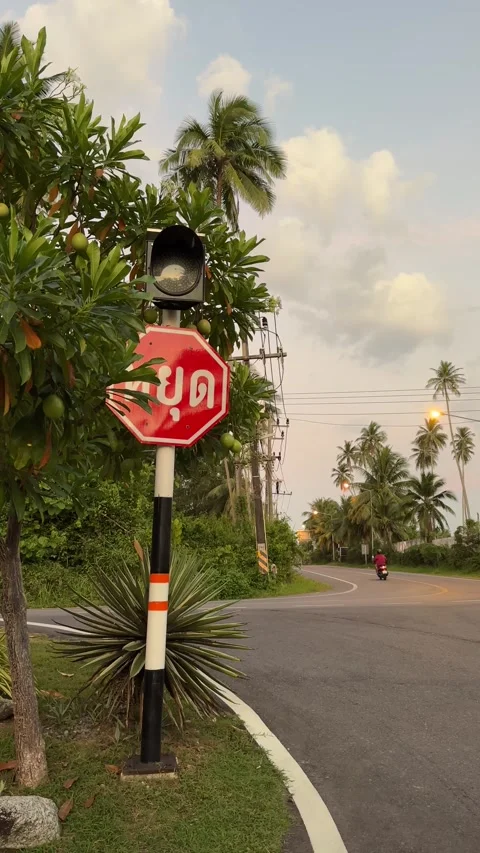 Empty road and stop sign in Thailand Stock Footage 277610759