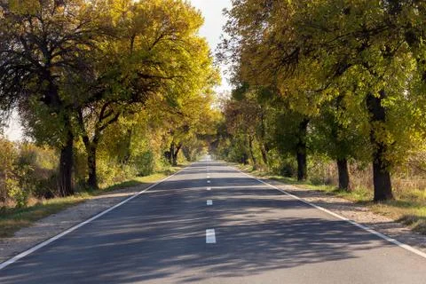Empty road in autumn Stock Photos