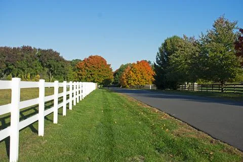 Empty Road in Autumn Stock Photos