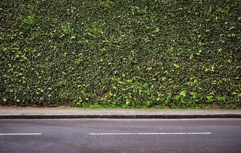 Empty road background Stock Photos
