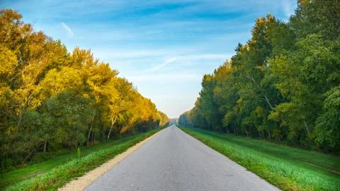 Empty road in the beautiful forest Stock Photos