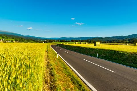An empty road between agricultural fields leading to the mountains Stock Photos