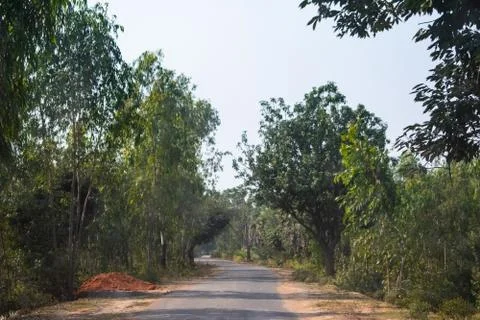 A empty road between a dark forest in Bankura Stock Photos