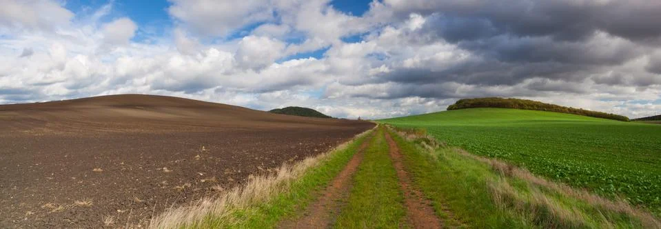 On the empty road between fields in autumn Stock Photos