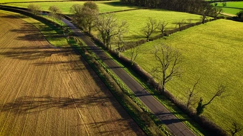 Empty road between fields with trees casting long shadows. Picturesque rural Stock Footage 303569423