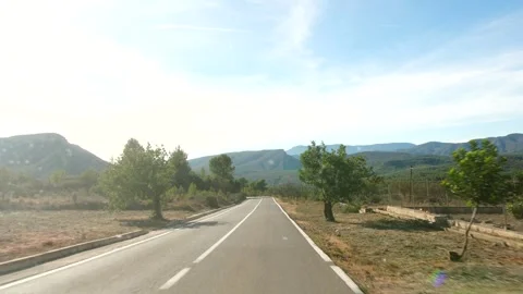 Empty road between pine trees Stock Footage 262963367