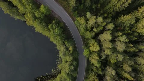Empty road between trees near the lake Stock Footage 168570400