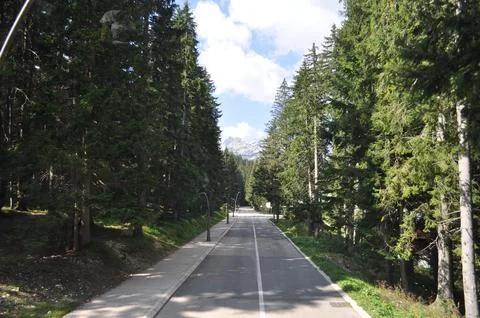 Empty road between trees in summer Foto stock