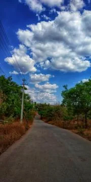 An Empty road with both sides full of trees and clouds. Stock Photos