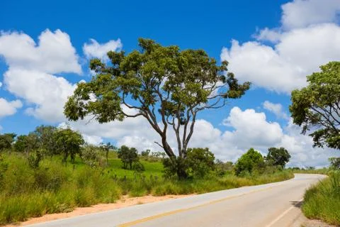 Empty road at the Brazil Stock-Fotos