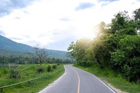 Empty road in the countryside leading to the distant through the trees Stock Photos