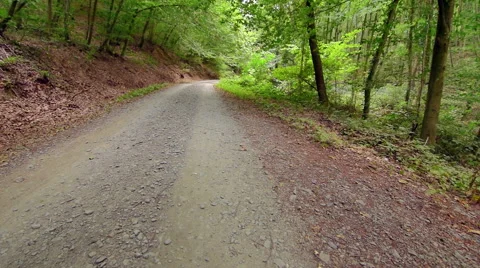 Empty road in deep green forest, pan shoot Stock Footage 66262728