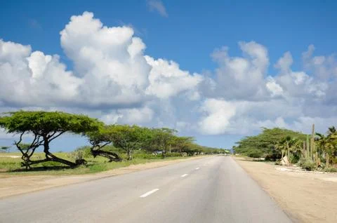 Empty road with divi divi trees in Aruba Stock Photos