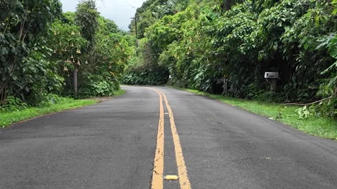 Empty road with a double yellow line through lush jungle in Hawaii Stockbeeldmateriaal 347826358