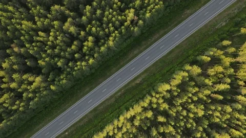 Empty road endless asphalt straight freeway Stock Footage 168625745