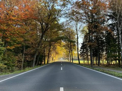 Empty road at fall time Stock Photos
