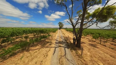 Empty road in a field in Australia video from FPV drone Stock Footage 248817366