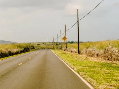 Empty road with fields on the side Stock Photos