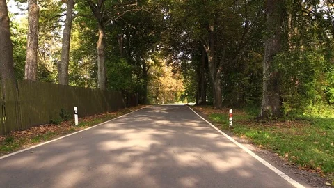 Empty road Stock Footage 81532037