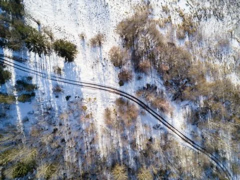 Empty road in a forest from a drone. Stock Photos