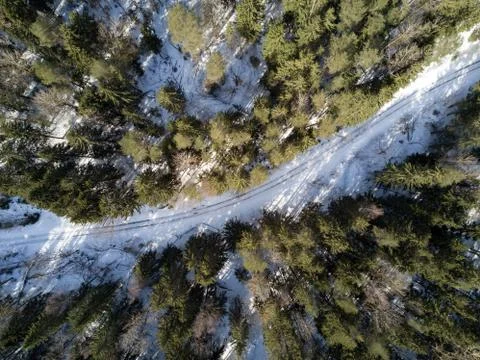 Empty road in a forest from a drone. Stock Photos