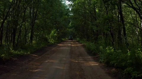 An empty road in the forest Stock Footage 171288881