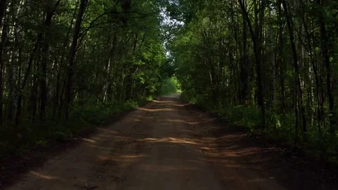 An empty road in the forest Stock-Footage 171577333