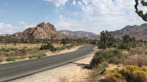 Empty Road in Joshua Tree National Park 스톡 동영상 196134047
