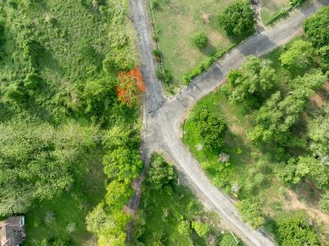 Empty road junction among forest and grassland. Transportation network, gre.. Stock Photos