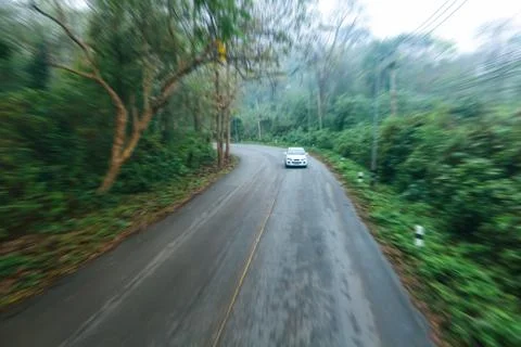 Empty road in jungle. Stock Photos