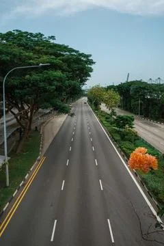 Empty road lined with lush green trees Stock Photos