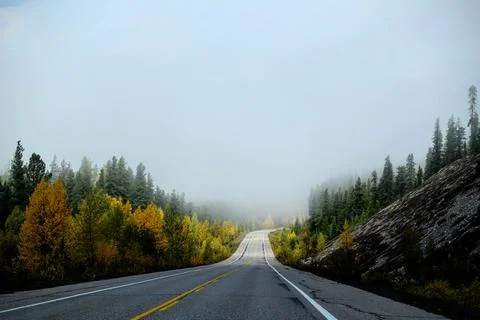 Empty road lines with fall trees in Jasper National Park. Stock Photos