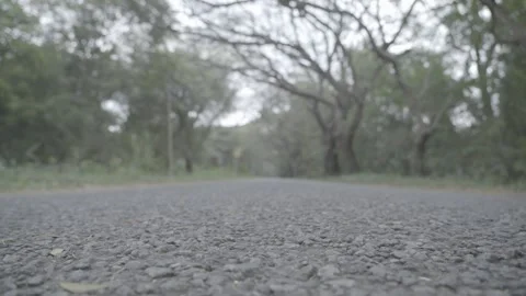 Empty Road low angle footage 스톡 동영상 310388294