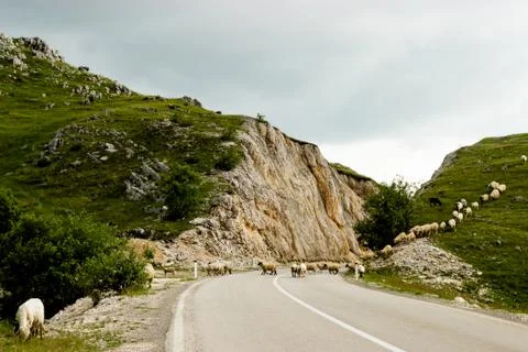 The empty road in Montenegro Stock Photos