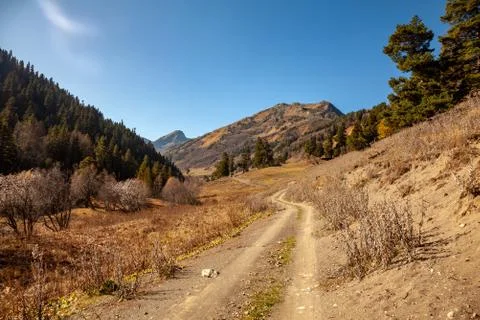 Empty road in mountain landscape Stock Photos