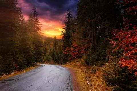 Empty road in the mountains, among the forest, at sunset Stock Photos