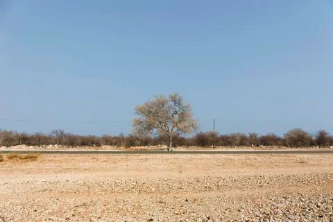 Empty road in Namibia Stock Photos