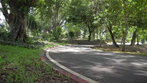 Empty road in the park Stock Footage 153419619