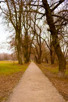 An empty road in the park Stock Photos