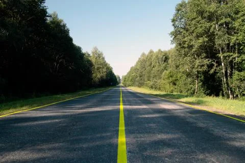 Empty road passes through forest Stock Photos